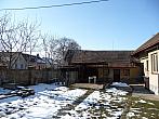 Třibřichy